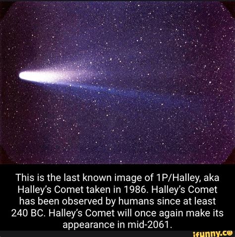 halley's comet dates